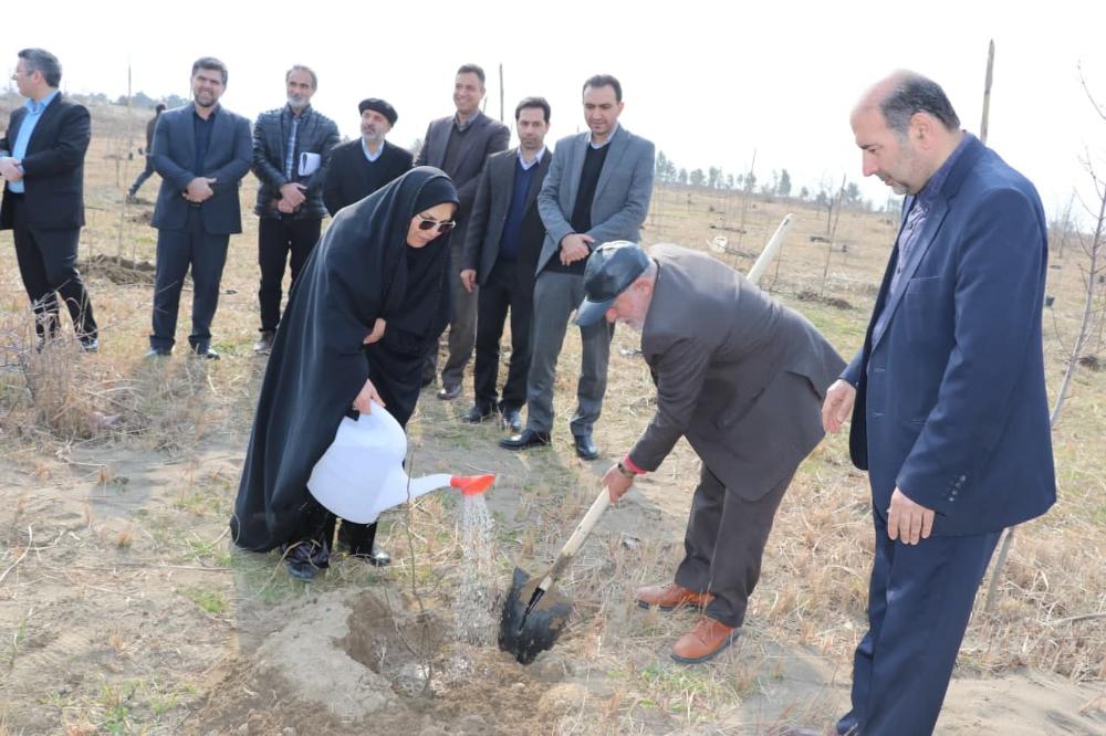 آیین کاشت 600 اصله نهال در دانشگاه مازندران