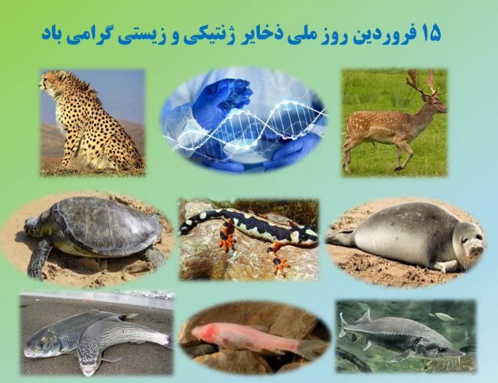 یادداشت عضو هیات علمی دانشگاه مازندران به مناسبت روز ملی ذخایر ژنتیكی و زیستی